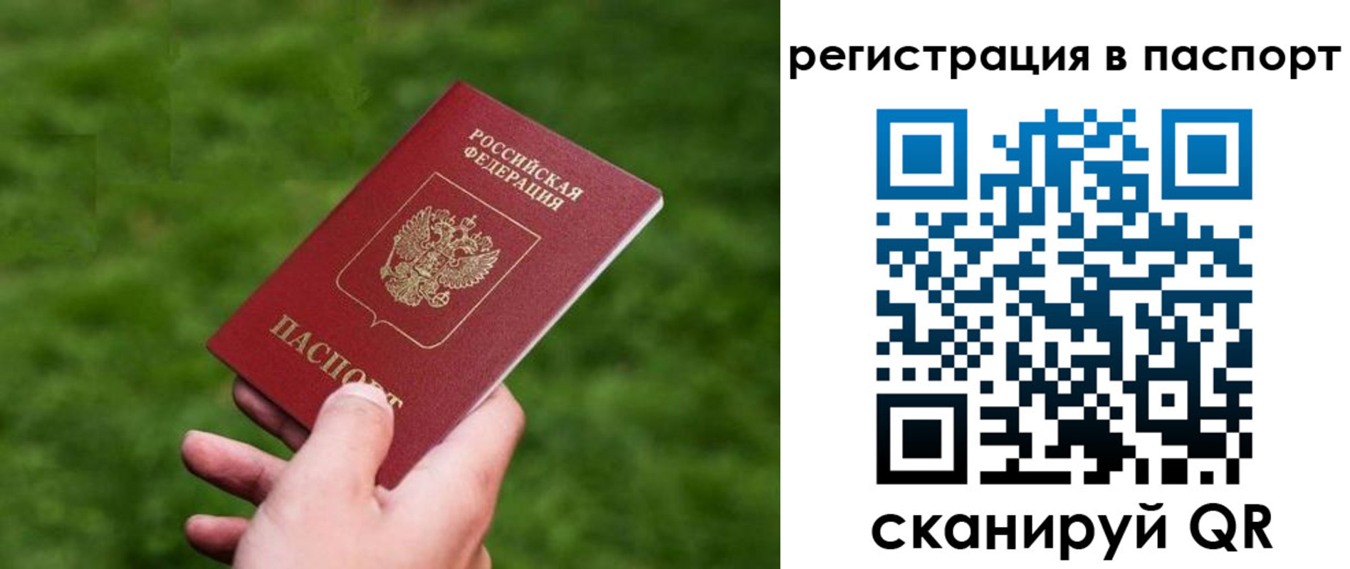 пропишу в квартире в Луховицах